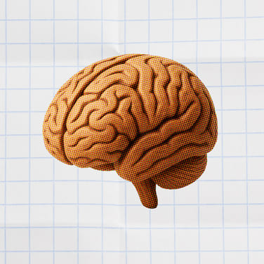 brain on a white grid background for project activities