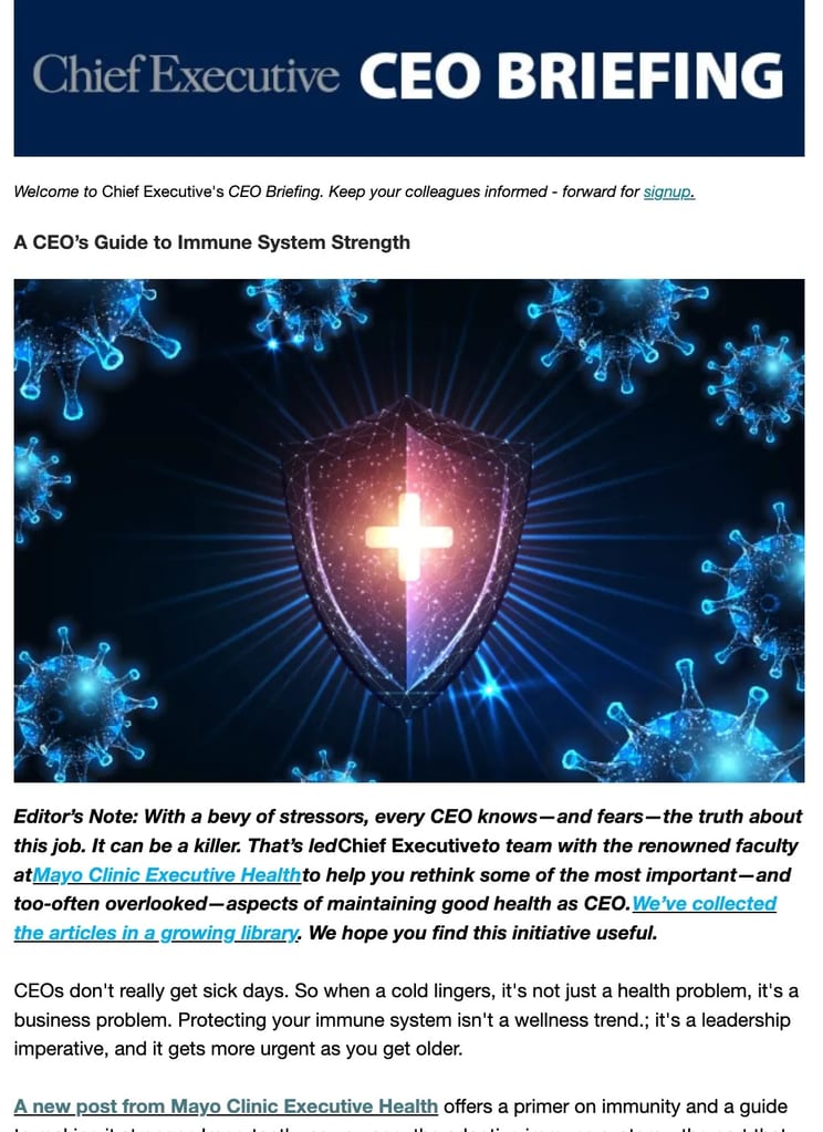 Screenshot della newsletter di esempio di CEO Briefing