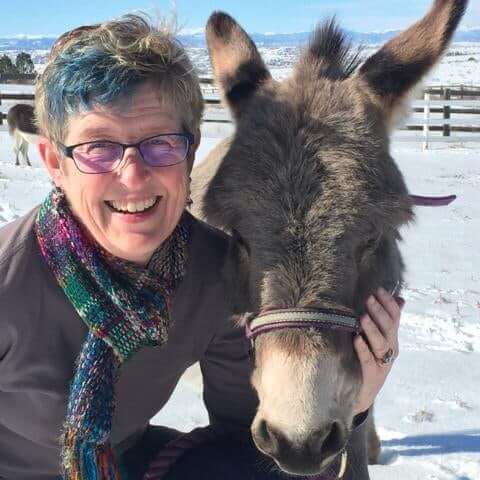 Lisa Crispin