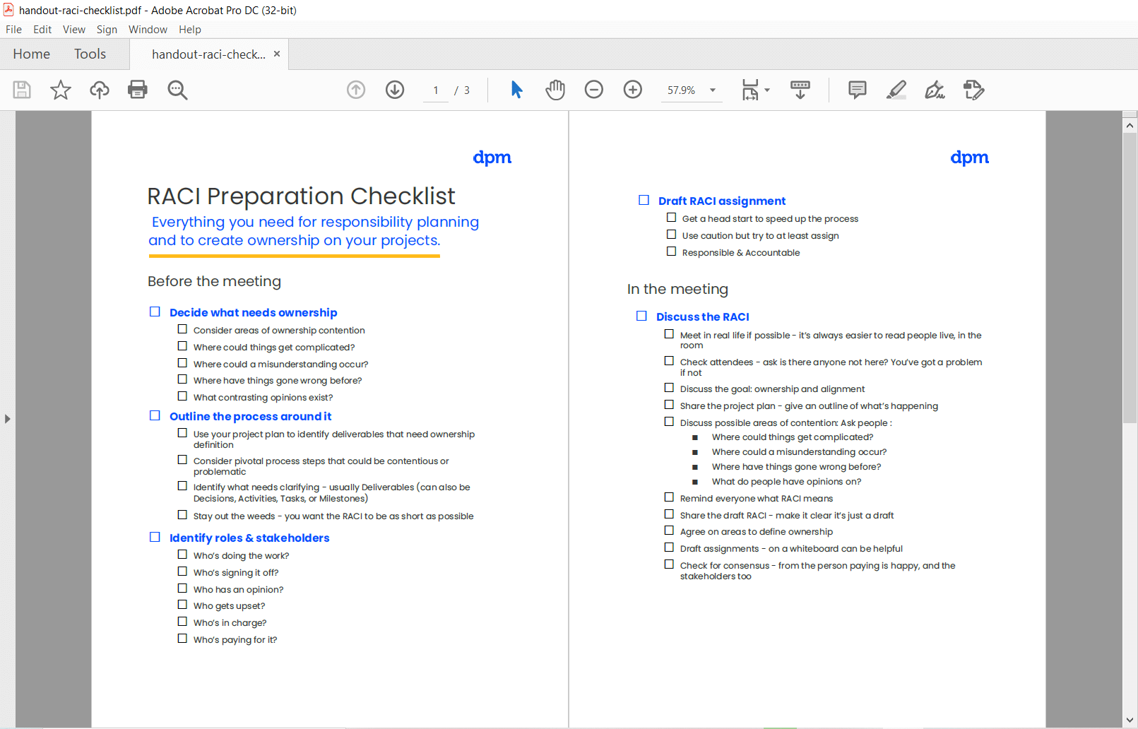 RACI -RACI Preparation Handout Checklist Screenshot 1