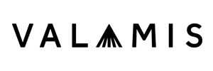 Valamis-logo-2