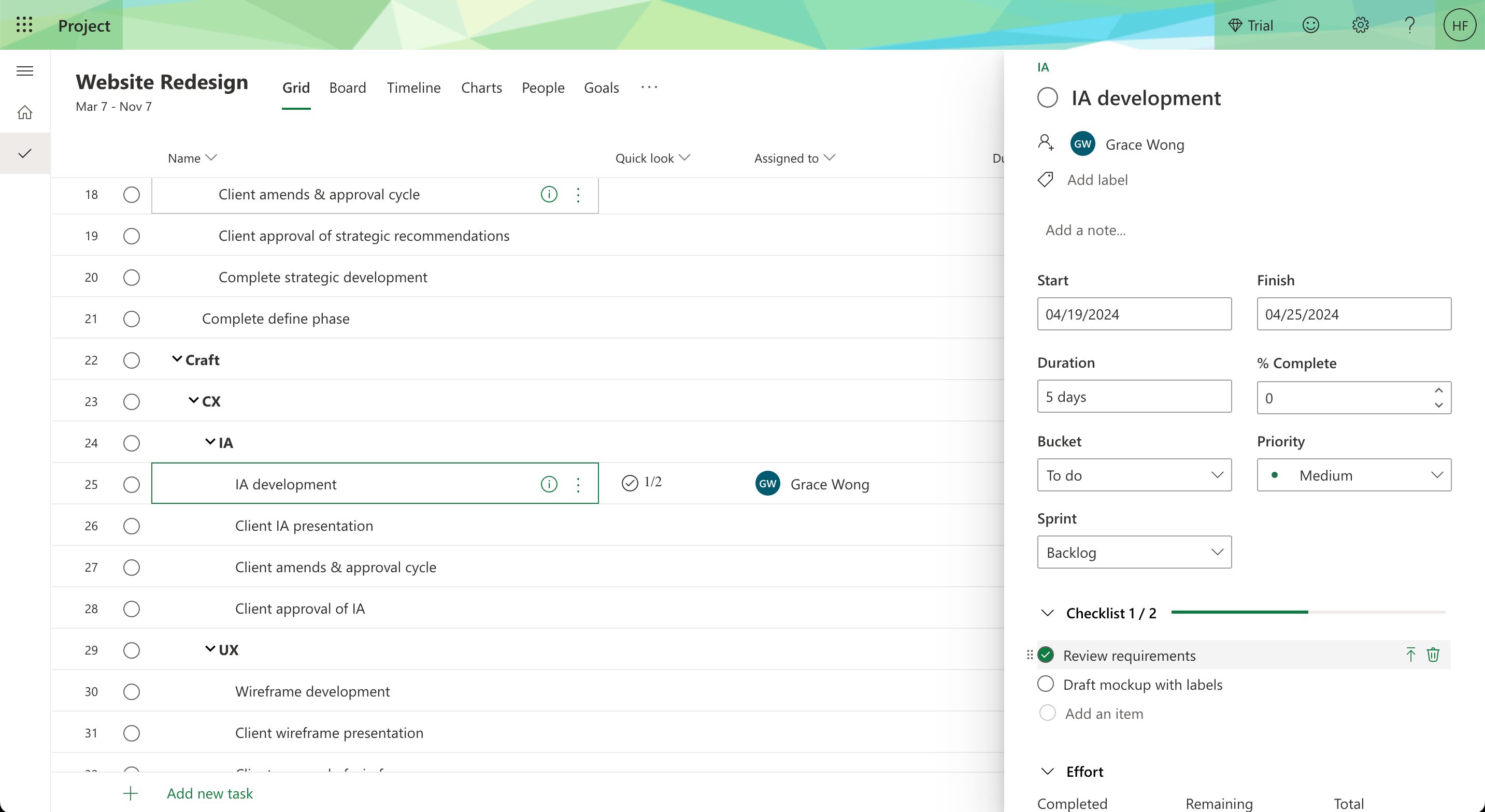MS Project – task view
