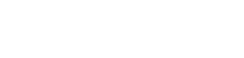 siemens-white