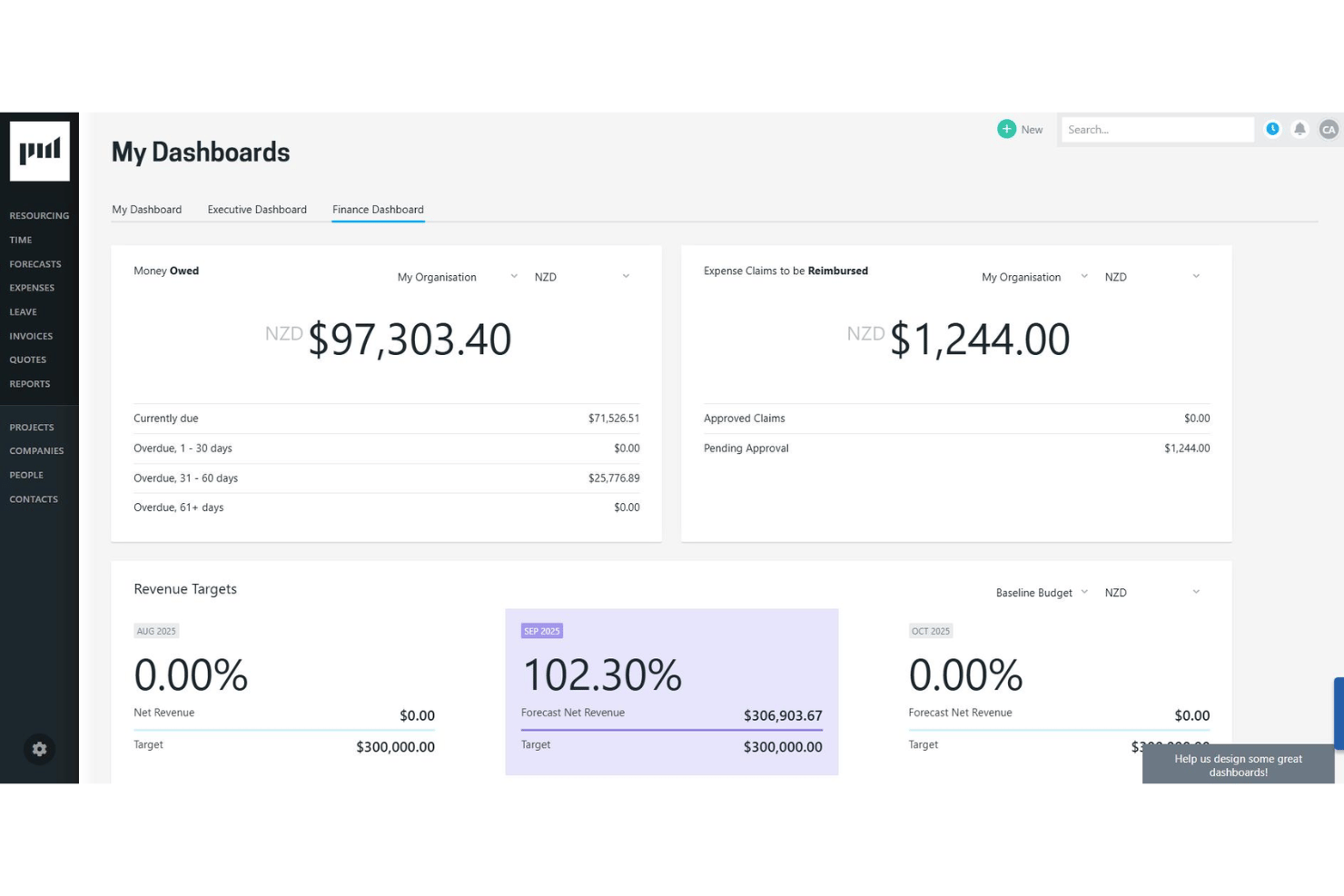 Project management tool for professional services and resource planning