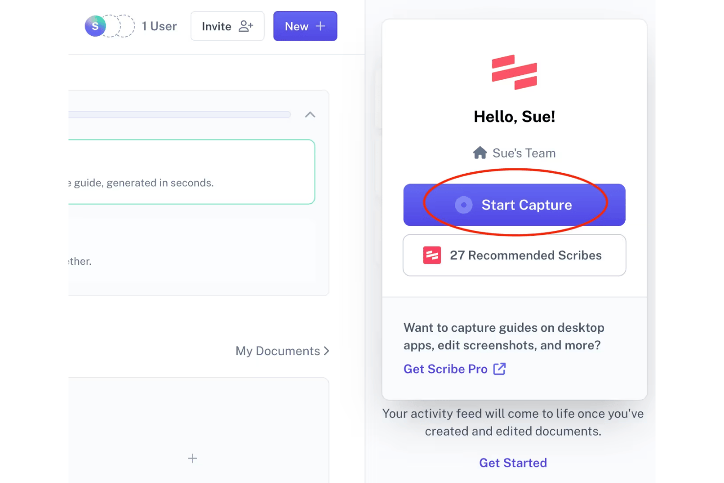screenshot - Scribe Test: Vorteile, Nachteile, Funktionen und Preisübersicht