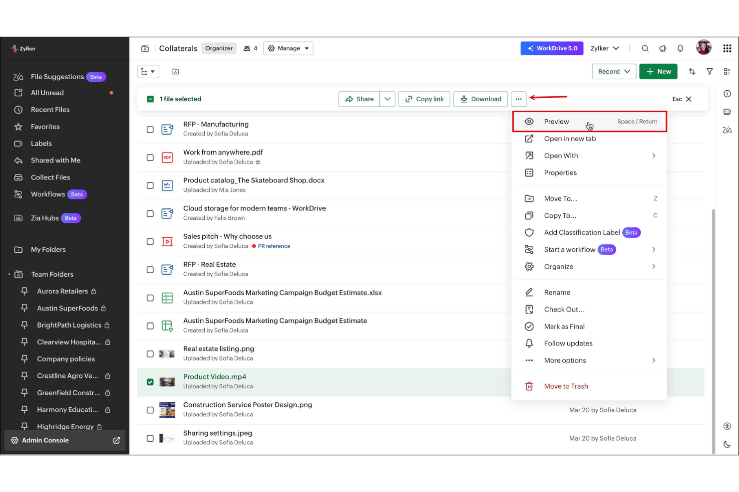 screenshot - Zoho WorkDrive Review: Pros, Cons, Features and Pricing