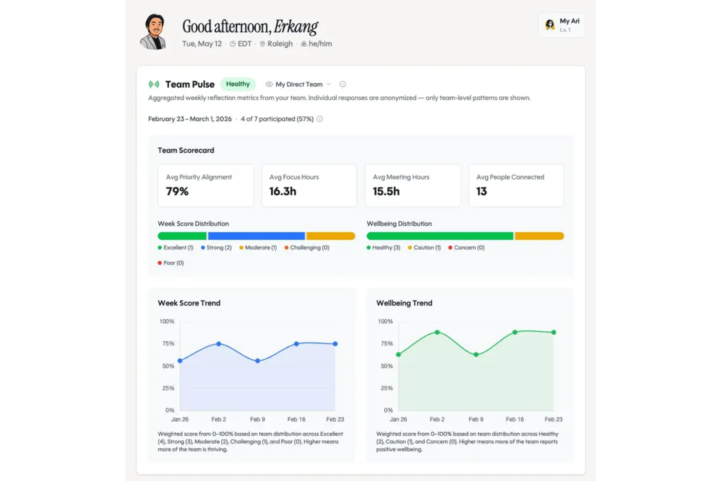 Ariso AI surfaces team wellbeing and productivity trends for managers.