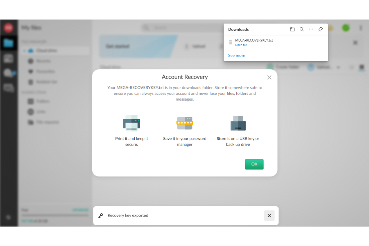 screenshot - MEGA Review: Pros, Cons, Features, and Pricing Explained in Detail