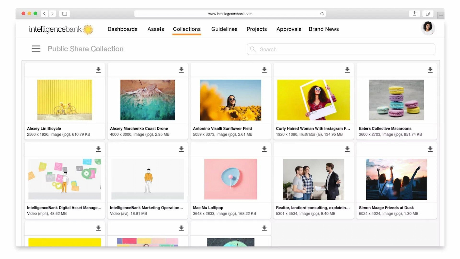 IntelligenceBank screenshot - 10 Meilleurs Outils de Gestion des Actifs Numériques Pour Petites Entreprises