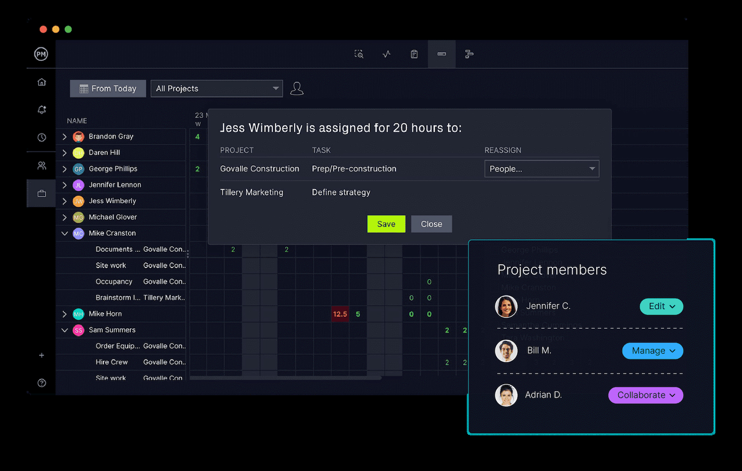ProjectManager screenshot - 20 Mejores Programas de Gestión de Proyectos Integrados con Salesforce