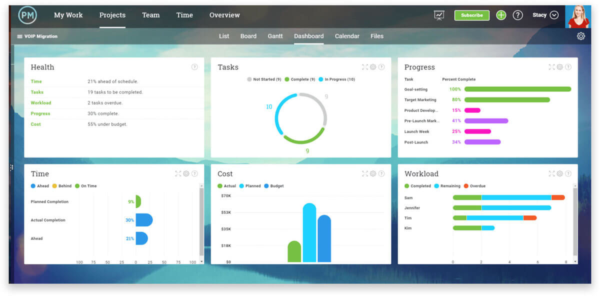 ProjectManager screenshot - Las 10 Mejores Plataformas De Paneles De Proyectos En Software Y Aplicaciones Para 2026