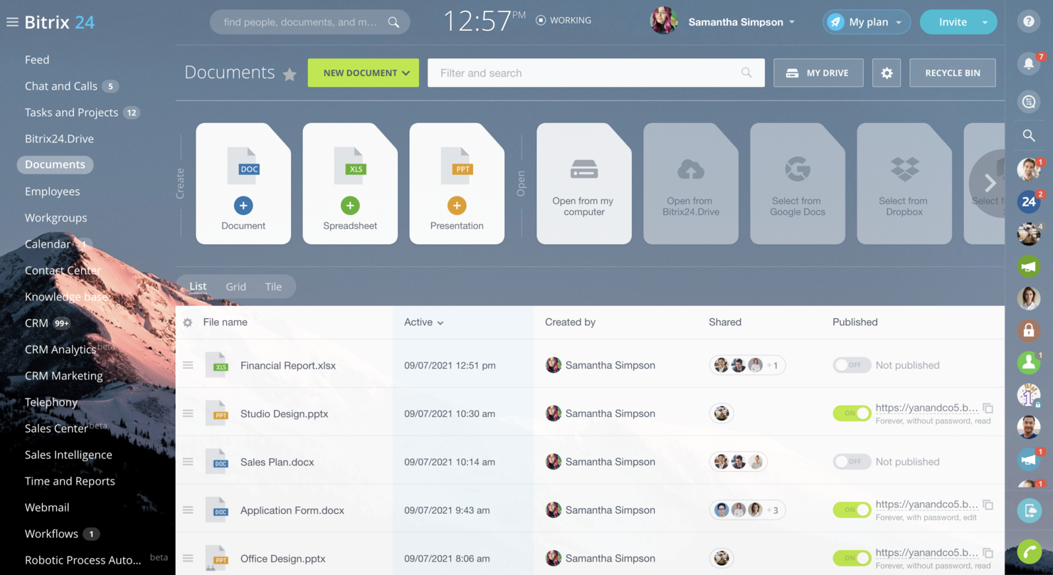 Bitrix24 screenshot - 10 Migliori Software di Gestione Documentale Economici per il 2026