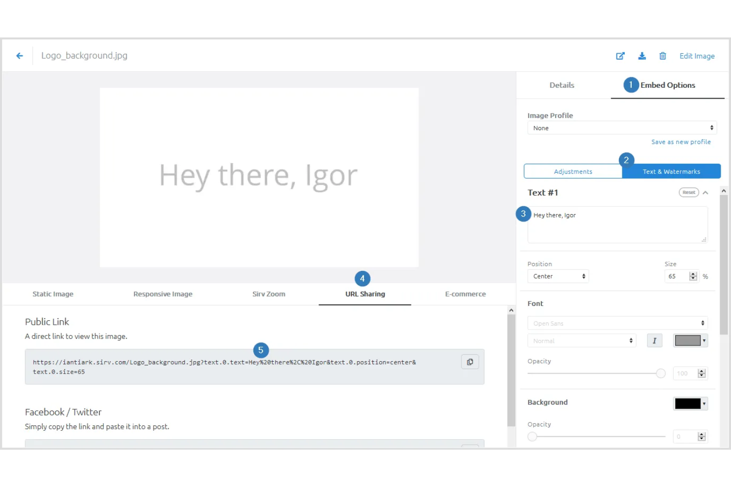 Sirv screenshot - 10 Beste alternatieven voor Cloudinary voor 2026
