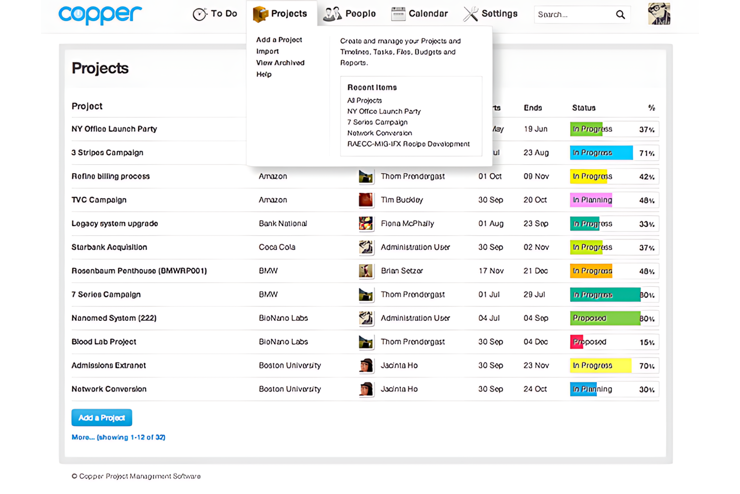 Copper Project screenshot - 10 Beste alternatieve tools voor Nifty voor projectteams in 2026