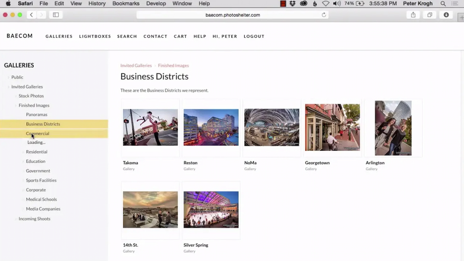 Libris by PhotoShelter screenshot - 10 beste software voor digitaal activabeheer voor archieven 2026