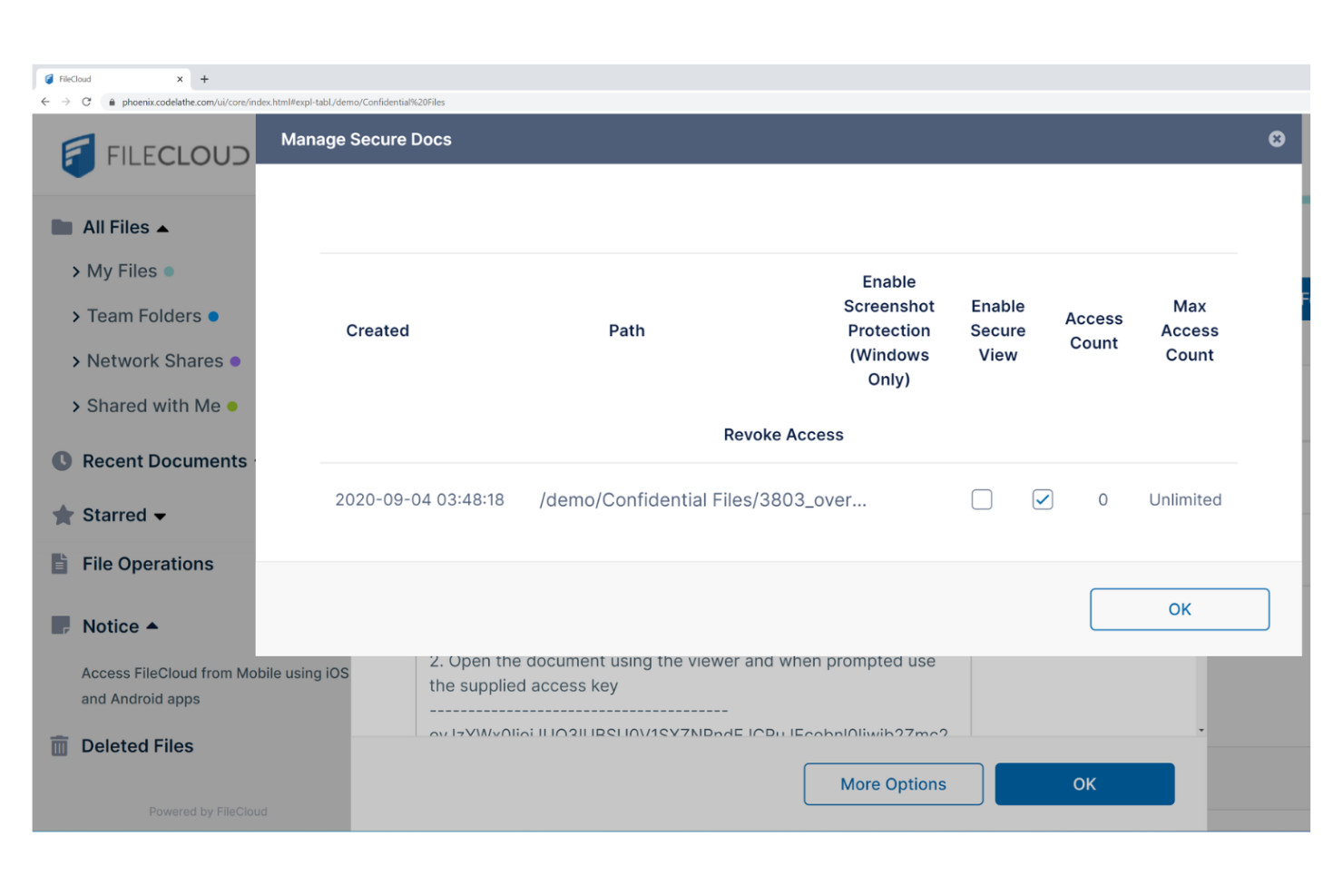 FileCloud screenshot - 10 bästa alternativen till OneDrive för 2026