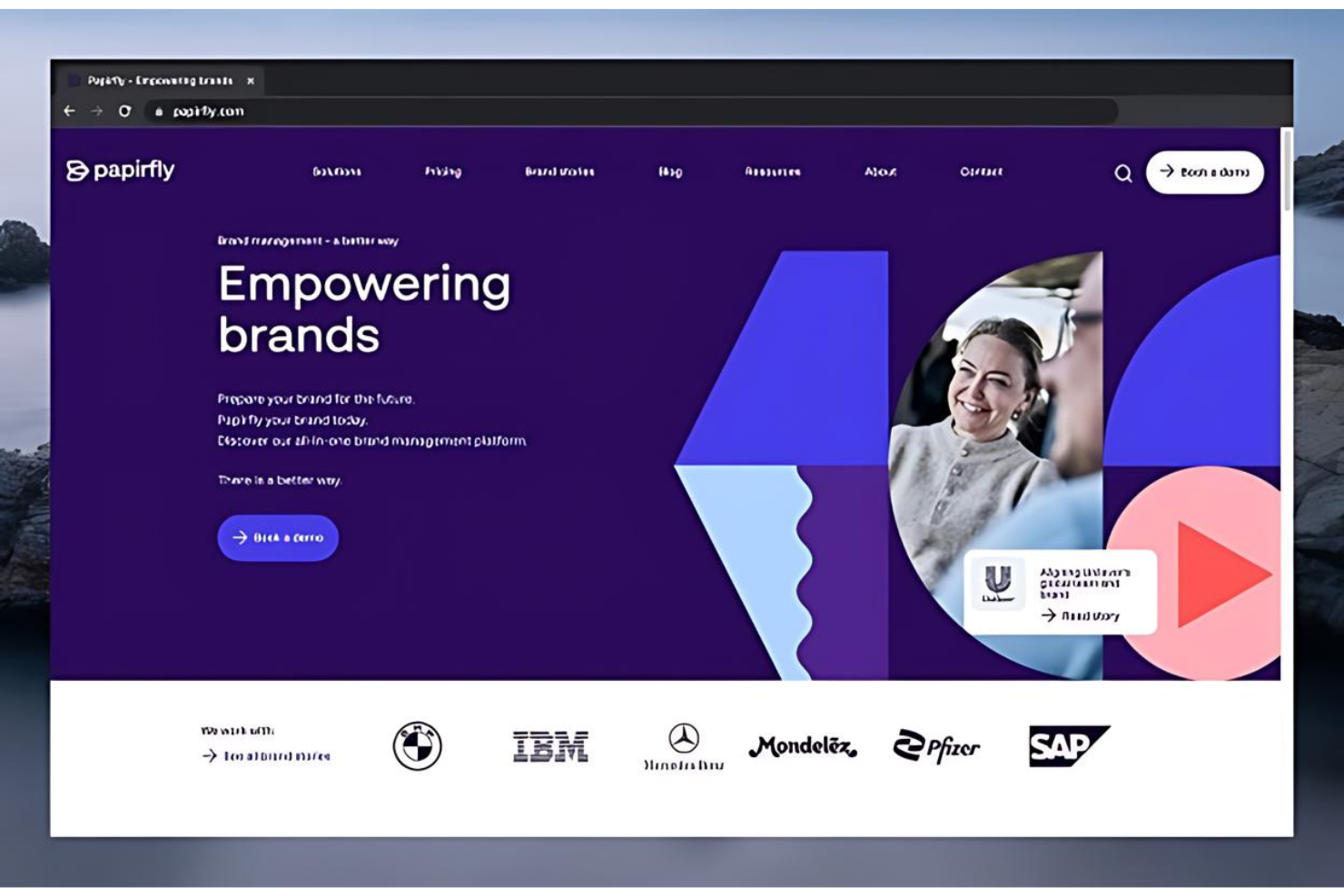 Papirfly screenshot - 10 bästa programvarorna för hantering av medieresurser – granskade 2026
