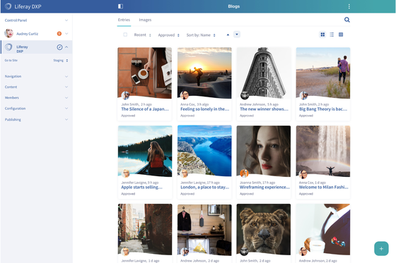 Liferay Digital Experience Platform