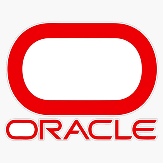 NetSuite SuiteProjects Pro