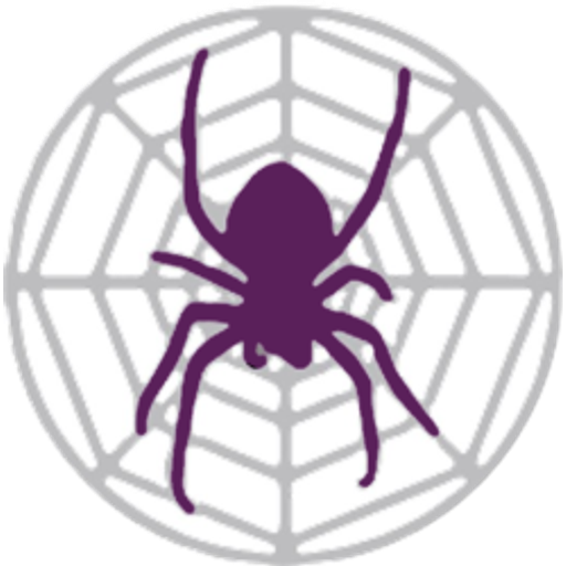 Spider Project