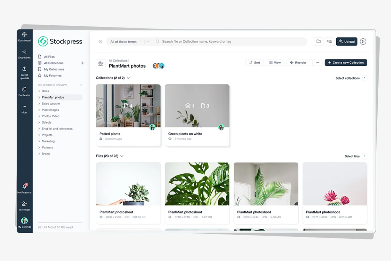Stockpress screenshot - 20 Best Brandfolder Alternatives in 2026