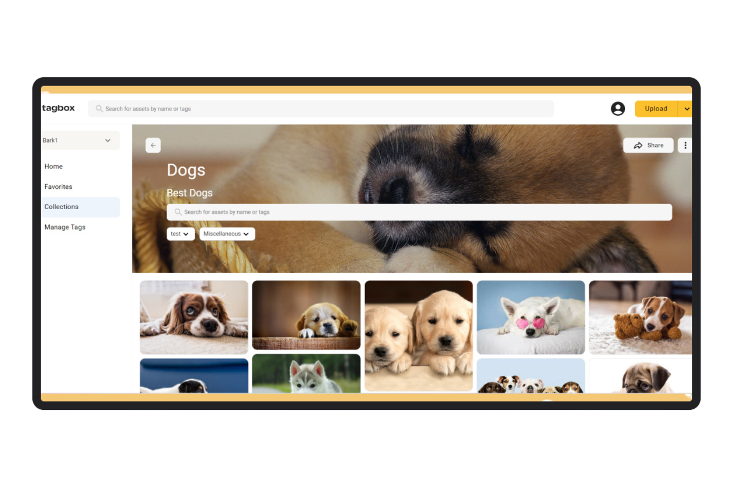 Tagbox.io screenshot - 10 Best AI DAM Tools Reviewed in 2026