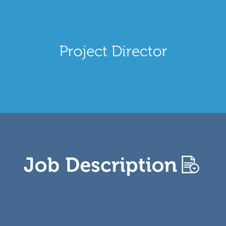 Job description: Project Director - The Digital Project Manager