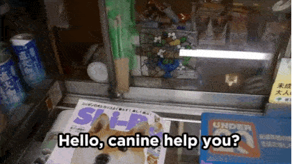 Project management best practices - #8 lend a hand