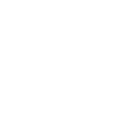 The Digital Project Manager logo white