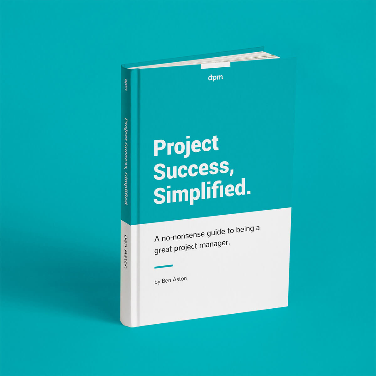 Project Success Ebook image
