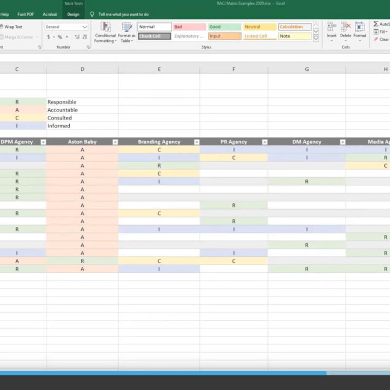 (DPM Essentials) Master RACI Charts Minicourse - The Digital Project ...