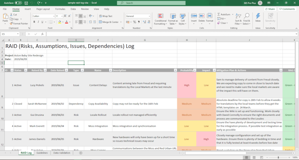 Sample RAID Log Screenshot