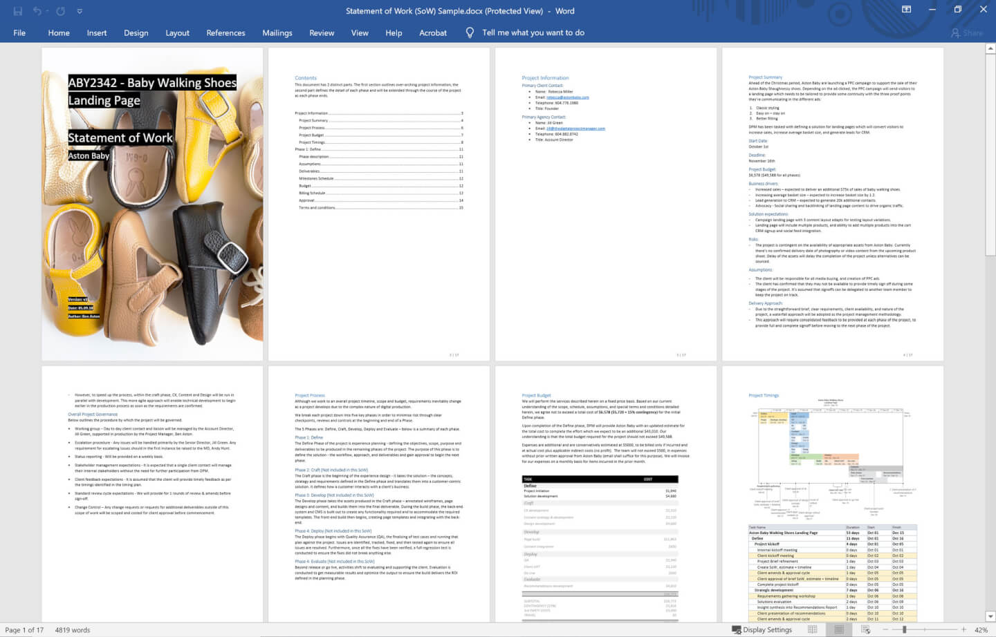 Statement of Work Sample