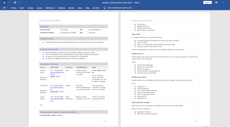 Communications Plan Sample Screenshot