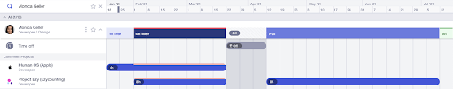 screenshot of runn capacity management