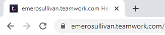 Screenshot Of Teamwork Custom URL