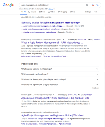 Agile Management Google Search Screeenshot