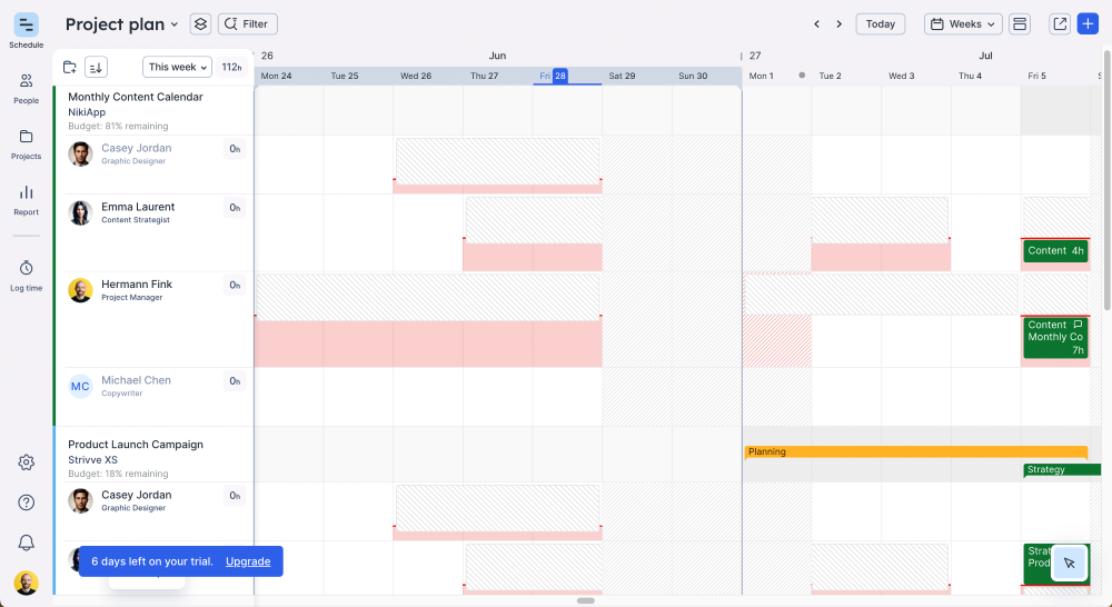project plan example in Float software tool