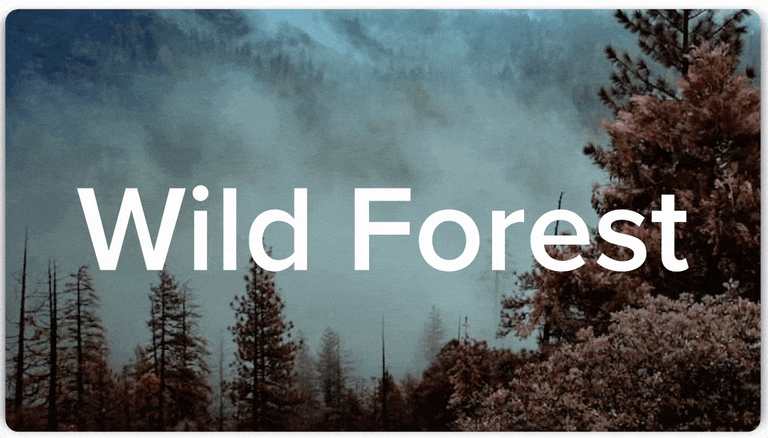 Ziflow Markup Tool GIF