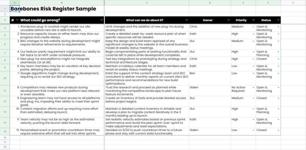 barebones risk register sample screenshot