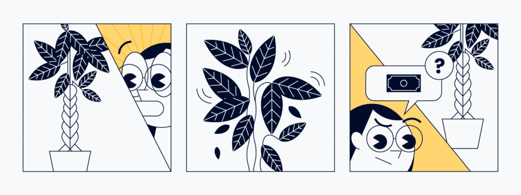 three comic panels showing a project manager investigating whether money is growing on a tree