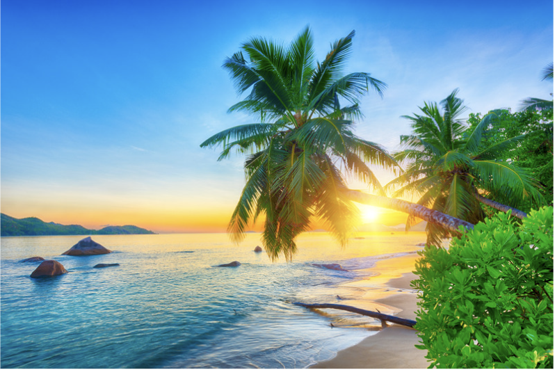 image of a beach