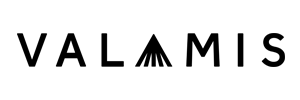 Valamis-logo-2