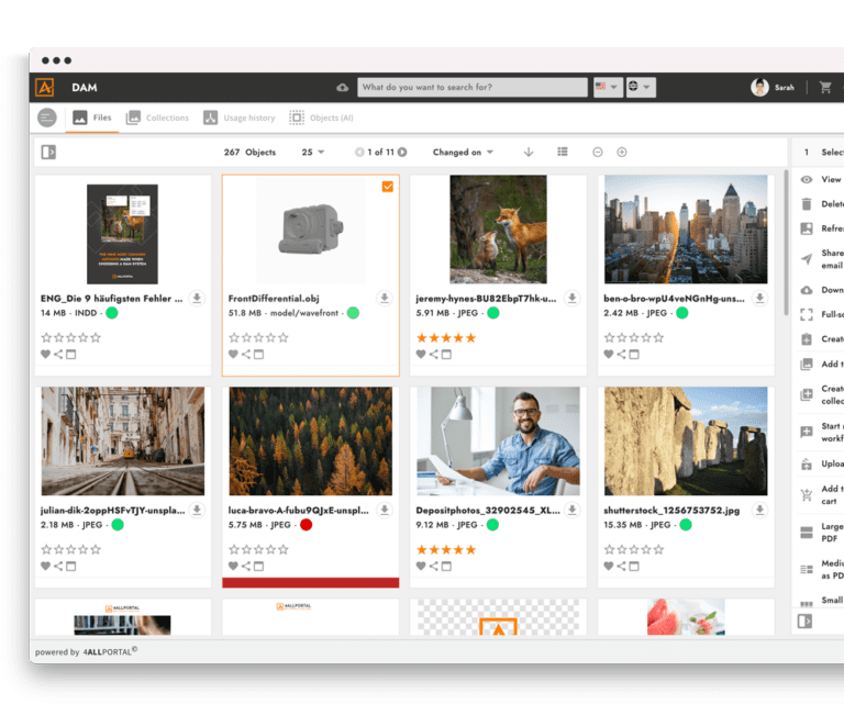 4allportal dam software