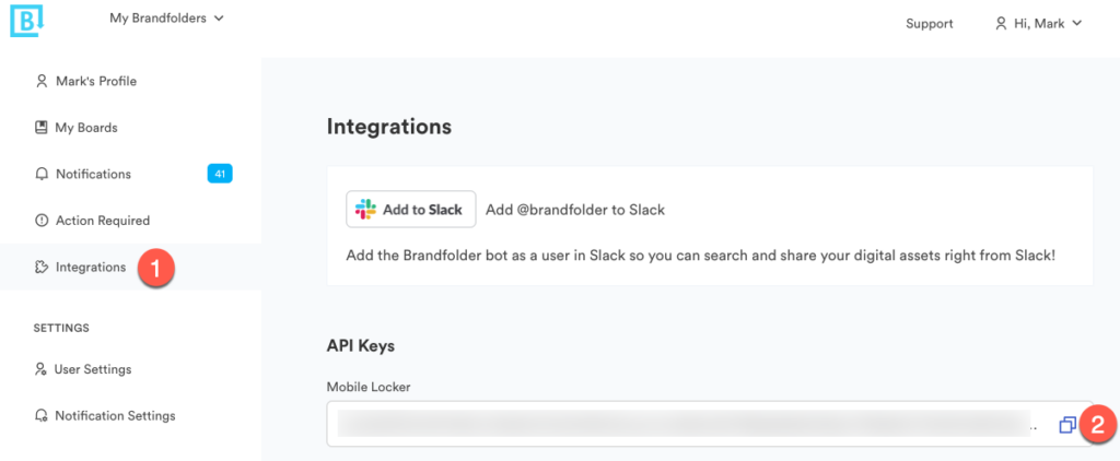 brandfolder integration capabilities screenshot