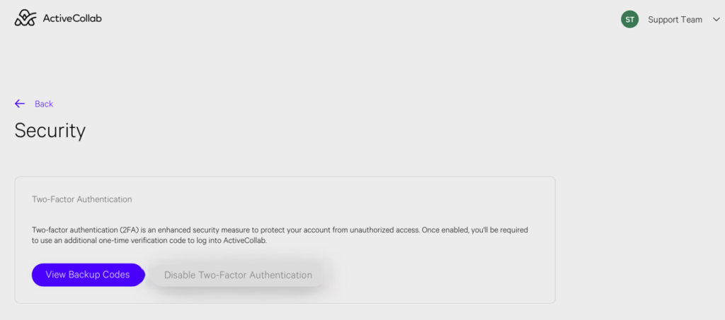 screenshot of activecollab security safeguards