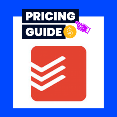 Todoist Pricing Guide