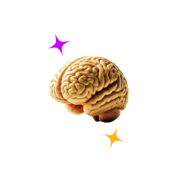 Brain