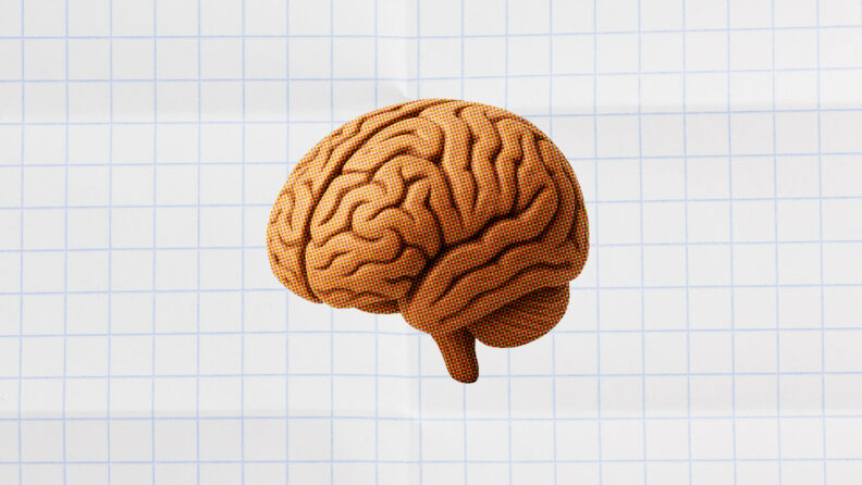 brain on a white grid background for project activities