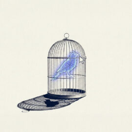 AI in Digital Asset Management featured image